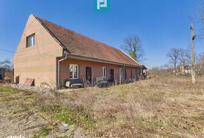 Casă cu 8 camere cu Teren 22919 Mp în Constantin Daicoviciu - 1