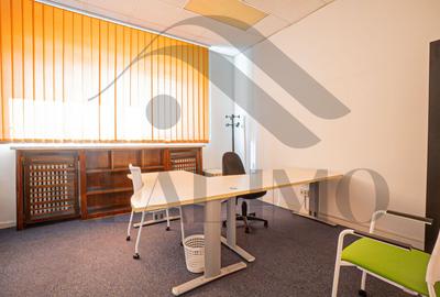 Casă individuală cu 63 camere cu Canalizare în P-ța Romană - 43