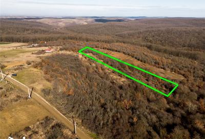 Teren de 3714 mp, în Paleu