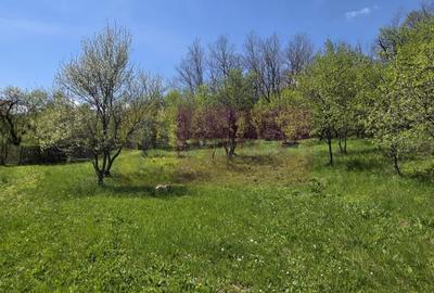 Teren Construcții intravilan de 1494 mp, în Șotrile - 4