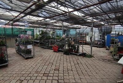 De vânzare – Imobil versatil cu potențial comercial, Brașov - 1