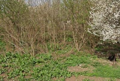 Teren Construcții intravilan de 2059 mp, în Pădurișu - 1