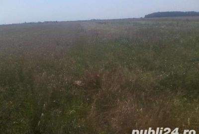 Teren de 12200 mp, în Mihăilești - 3