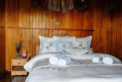 Vanzare pensiune renovata 2025 6 camere, Corb?ori (Poenari) - 1