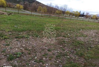 Spațiu comercial, în Viișoara