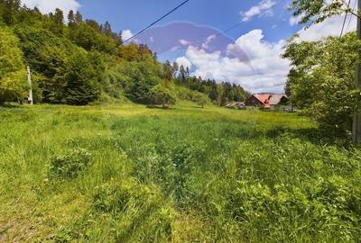 Comision 0%! Proprietate in natura, priveliste superba, Sita Buzaului - 4