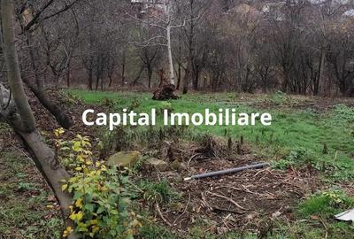 Casa Baicoi caramida 135 mp - 8