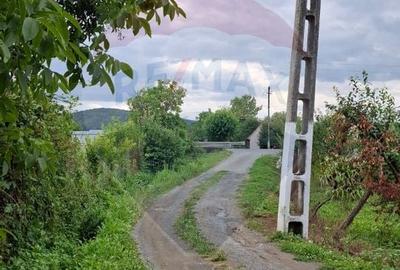 Teren Construcții intravilan de 2635 mp, în Bârzava - 4