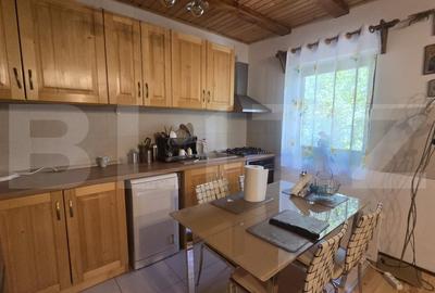 Casa de vacanca cu potential turistic, 1603 mp teren, Cernatesti - 4