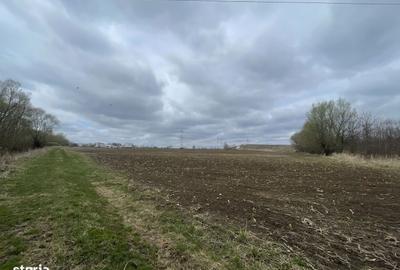 Spațiu comercial, în Central - 2