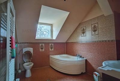 Vila splendida cu 500 mp utili de vanzare in Cluj centru, pe teren de 1645 mp - 15