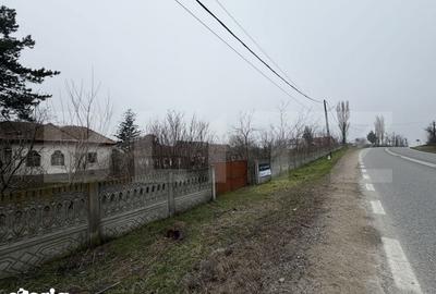 Casă cu 3 camere cu Teren 2714 Mp în Dobrești - 10