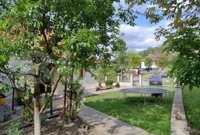 Casa in Teaca cu 4 camere si 10 ari de teren - 6