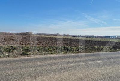 Teren extravilan, 7300 mp, Satu Mare periferie - 2