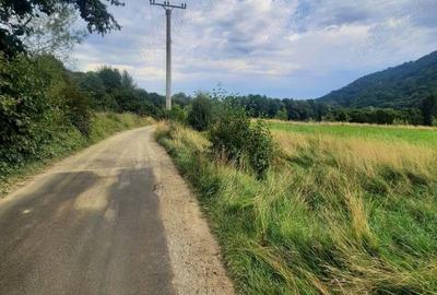 Teren de 1500 mp, în Glăjărie - 4