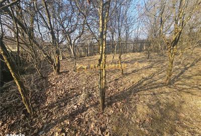 Casă cu 4 camere cu Teren 1000 Mp în Vâlcănești - 3