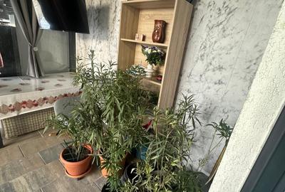 Casă cu 5 camere cu Teren 180 Mp în Prelungirea Ghencea - 7