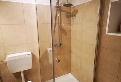 Garsonieră decomandată, mobilată în Vitan-Bârzești - 17