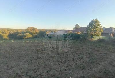 Teren de 3017 mp, în Plopu - 5