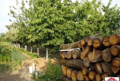 Casă cu 6 camere cu Teren 2110 Mp în Lazuri - 11