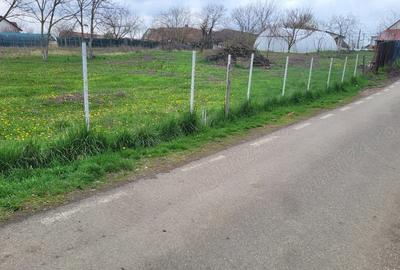 Teren de 500 mp, în Giarmata