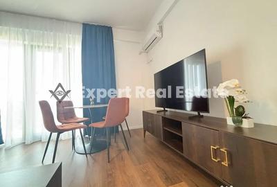 Apartament cu 2 camere semidecomandat în Tunari - 1