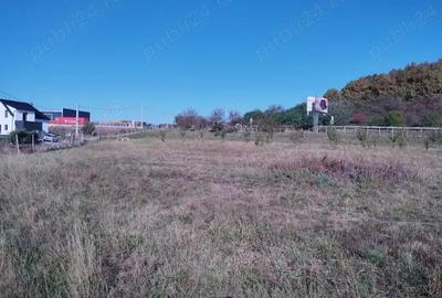 Teren de 12300 mp, în Crainimăt - 5