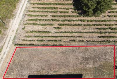 Teren de vanzare intravilan Carcea, 500 mp, toate utilitatile - 5