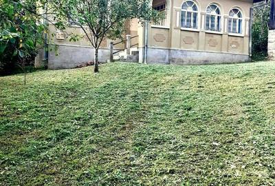 Casă cu 3 camere cu Teren 3800 Mp în Dobrin - 1