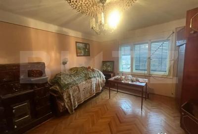 Casă cu 4 camere cu Teren 6197 Mp în Viile Satu Mare - 4