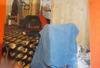 Lepsa Vrancea ,zona retrasa linistita si sigura,cabana si teren de vanzare - 7