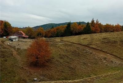 Teren de 2000 mp, în Curățele - 2