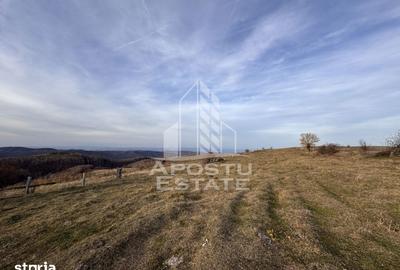 Casă cu 4 camere cu Teren 2231 Mp în Cerbăl - 4