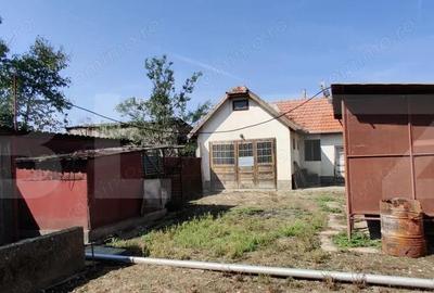 Casa mare cu gospodarie completa Belin?, jude?ul Timi? teren 4.900 mp - 10