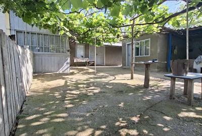 Casă cu Teren 2600 Mp în Movila Miresii - 7
