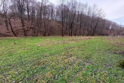 Resita, Teren Drept Intravilan, Langa Prau si Drum, Parcelabil, 4500 Mp., 15 Euro Mp., Renk - 4