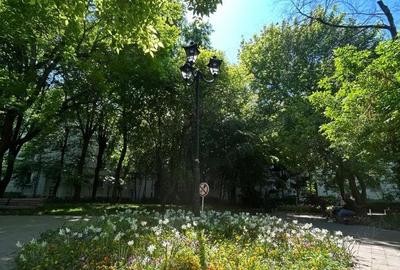 Muncii parc ciurea bloc rusesc - 19