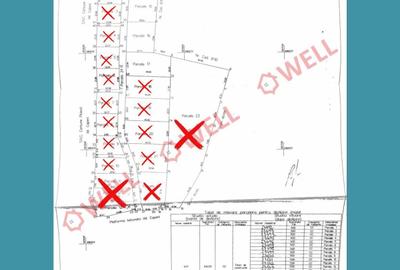 De vânzare  18 terenuri intravilane industriale în localitatea Valea Crișului! - 4