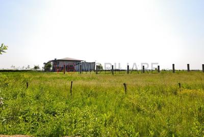 Teren intravilan de 821 mp, în Băneasa