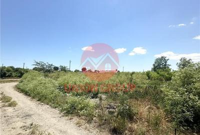Teren de 1700 mp, în Amzacea