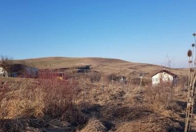 Teren Construcții intravilan de 602 mp, în Borhanci - 7