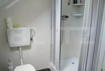 Casă cu 6 camere cu Teren 2000 Mp în Aghireș - 13