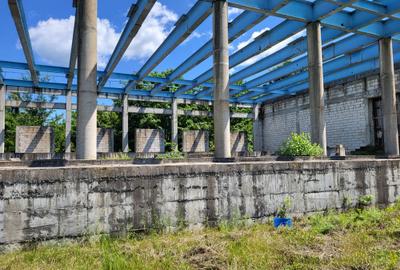 Investiție pe malul Lacului Snagov – Vilă impunătoare în construcție, - 5