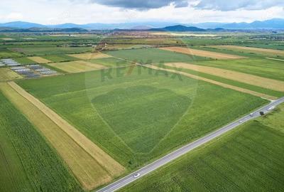 Teren de 59600 mp, în Feldioara - 6