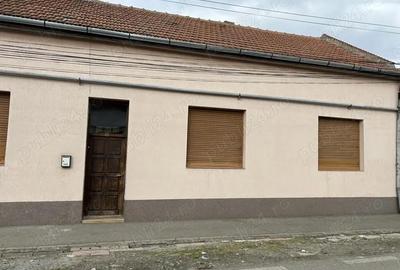 Casă cu 6 camere în Lugoj - 1