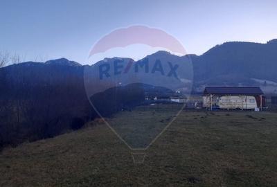 Teren Construcții intravilan de 1404 mp, în Central - 2