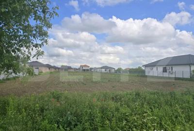 Teren de 3500 mp, în Păulești - 3