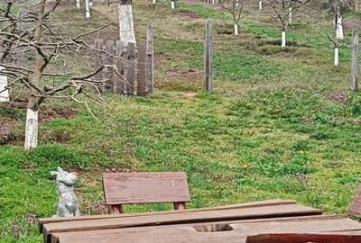 Casă cu 3 camere cu Teren 2800 Mp în Central - 2