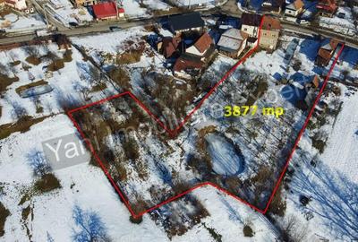 Casă în Vernești - 17