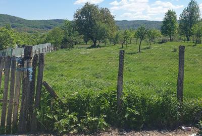 Teren de 19116 mp, în Coșești - 3